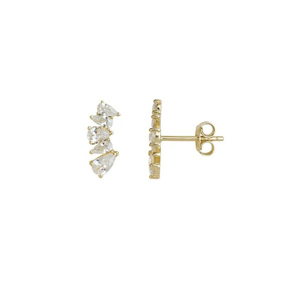 Women's earrings